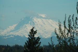 Mt.Rainier from Lisa's home.