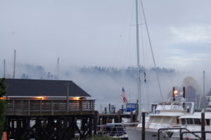 Morning fog at Stanich Dock
